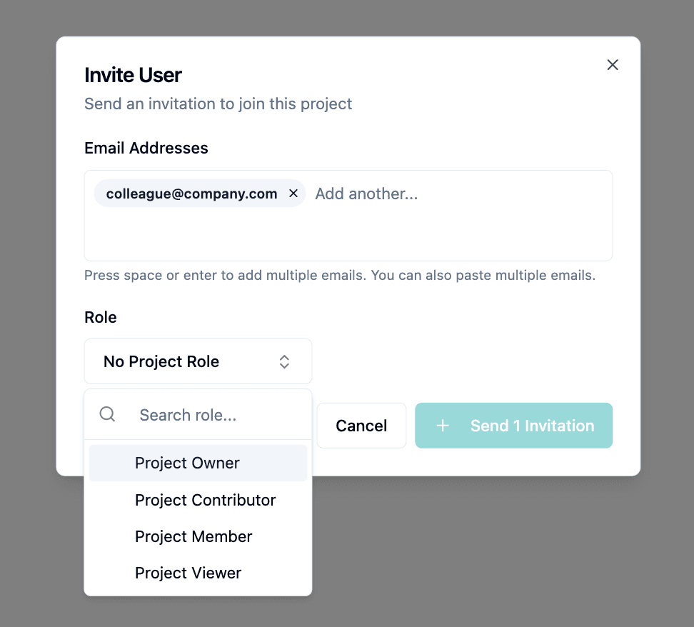 Roles: Manage Team Member Access