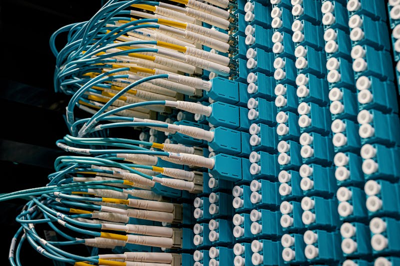 Fiber optic patch cables in blue patch panel